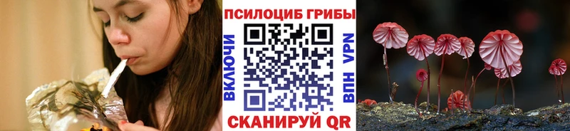mega зеркало  Ахтырский  Псилоцибиновые грибы Magic Shrooms 