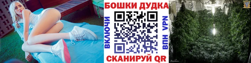 сколько стоит  kraken ONION  Шишки марихуана Ganja  Ахтырский 