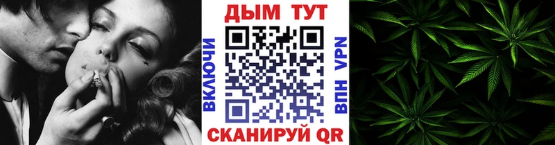 МАРИХУАНА сатива Ахтырский
